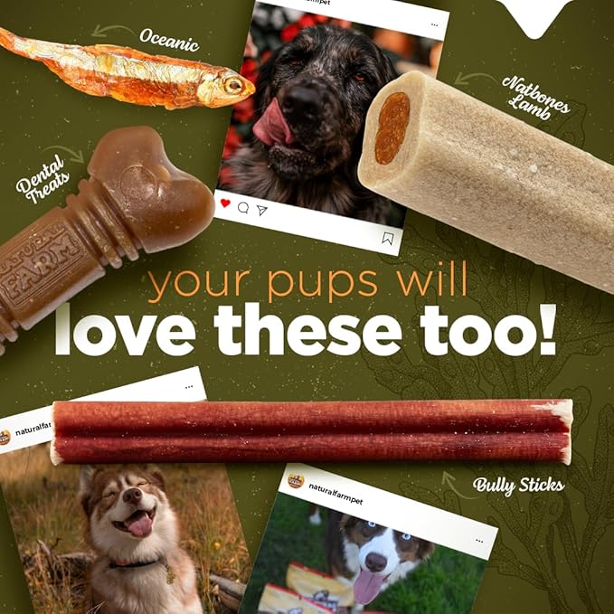 Natural Farm Real Fish Dried Fish Dog Treats- Dried Anchovies- Natural Dried Fish Dog Treats- Sustainably Sourced Fish,1 Ingredient - Anchovies, Collagen, Omega 3,Vitamin B&D for a Shiny Coat