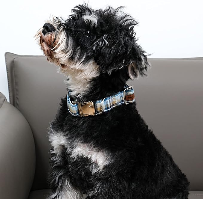 Lionet Paws Boy Dog Collar, Comfortable Adjustable Cute Blue Plaid Collar with Metal Buckle for Male Dogs Gift, Small, Neck 10-16 inches