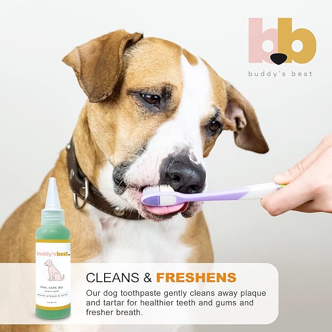 Buddy's Best Dog Gift Box for Holidays & Special Occasions - Pet Package with Odor Eradicator (32oz), Oral Care Gel (2oz), and Shampoo Bottles, Coconut Vanilla (16oz) & Ripe Melon (16oz)