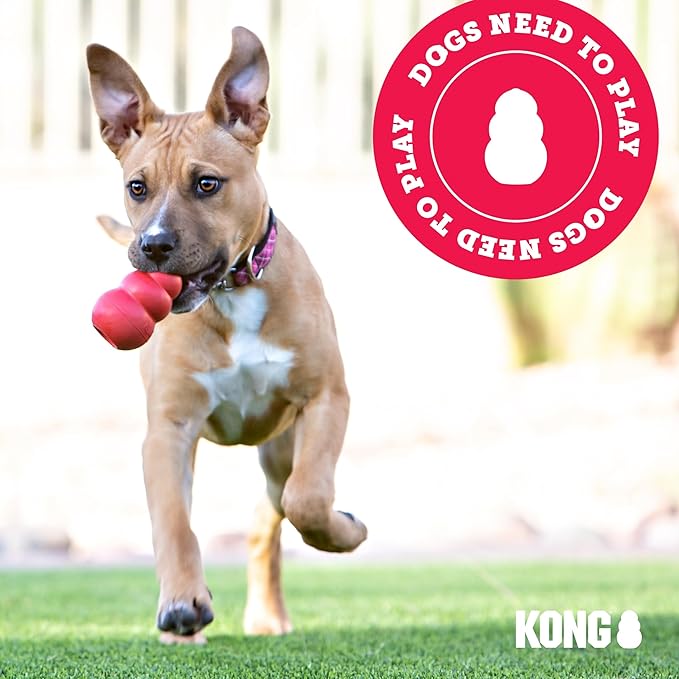 KONG Puppy - Natural Teething Rubber Chew Toy for Dogs - Stuffable Dog Toy for Extended Playtime - Chew & Fetch Toy for Puppies - for XS Puppies - Pink