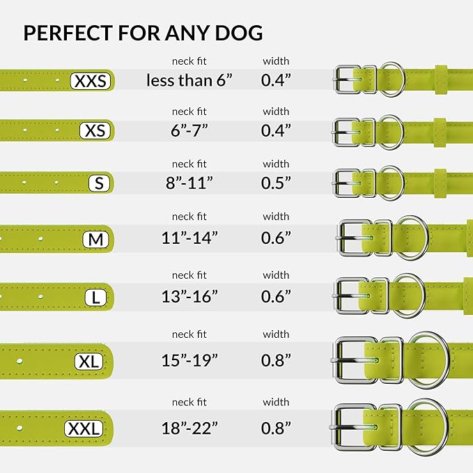CollarDirect Rolled Leather Dog Collar, Soft Padded Round Puppy Collar, Handmade Genuine Leather Collar Dog Small Large Cat Collars 13 Colors (11-14 Inch, Lime Green Smooth)