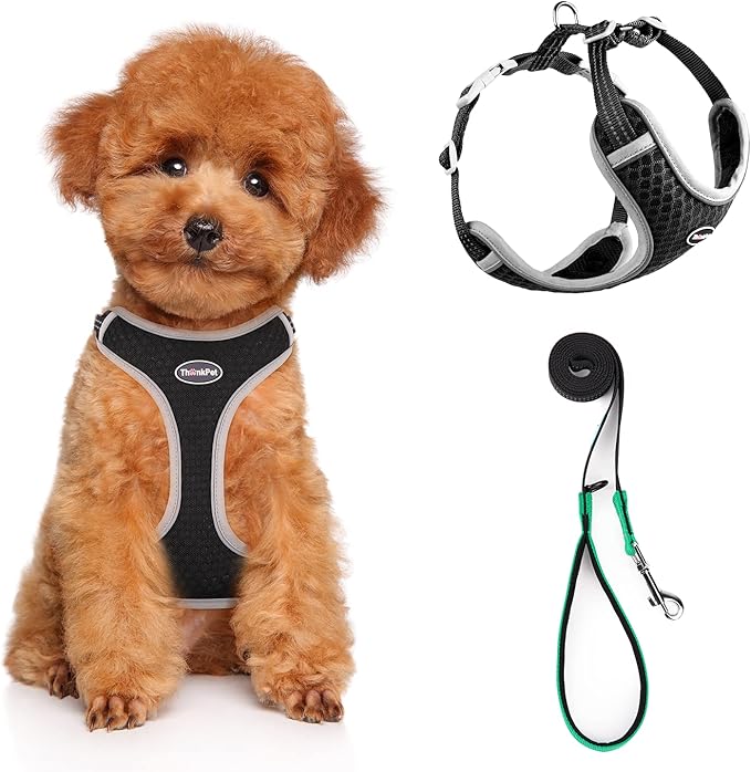 ThinkPet Harness and Leash Set Reflective Breathable Soft Air Mesh No Pull Puppy Choke Free Over Head Vest Ventilation Harness with Leash for Puppy Small Medium Dogs and Cats