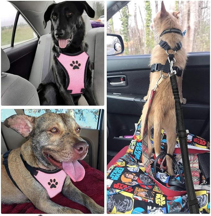 SlowTon Dog Seat Belt Harness for Car, Dog Car Harness Adjustable Mesh Breathable & Dog Seatbelt Safety Tether with Elastic Bungee for Small Medium Large Pets(Pink, Single Clip, XXXS)