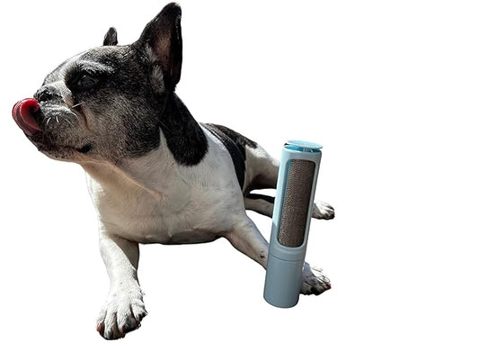 Baruel Pet Hair Remover Brush for Dogs, Gentle Yet Effective, Soft Bristles, All Breeds and Sizes (Blue)