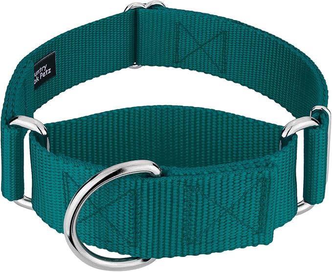 Country Brook Petz 1 1/2 Inch Martingale Heavy Duty Nylon Adjustable Dog Collar for Small, Medium, Large Breeds - Vibrant 17 Color Selection (Teal, Large)
