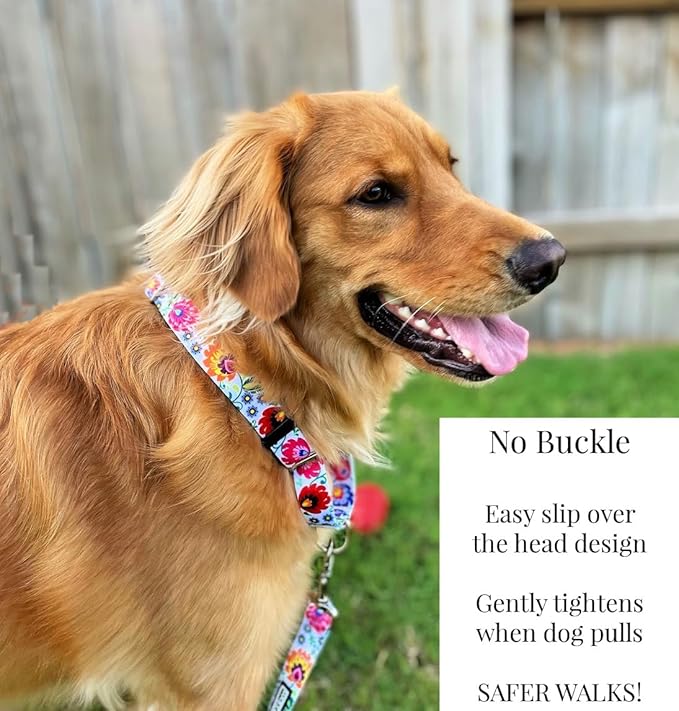 Lucky Love Dog Martingale Dog Collar - Adjustable, No-Slip, Durable, & Soft Webbing Dog Collar for Male and Female Dogs Ideal for Training & Walking - Stylish Ladybird Pattern, Medium Size