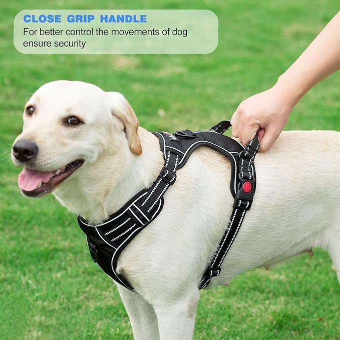 tobeDRI No Pull Dog Harness Adjustable Reflective Oxford Easy Control Medium Large Harness with A Free Heavy Duty 5ft Leash (L (Neck: 18"-25.5", Chest: 24.5"-33"), Purple)