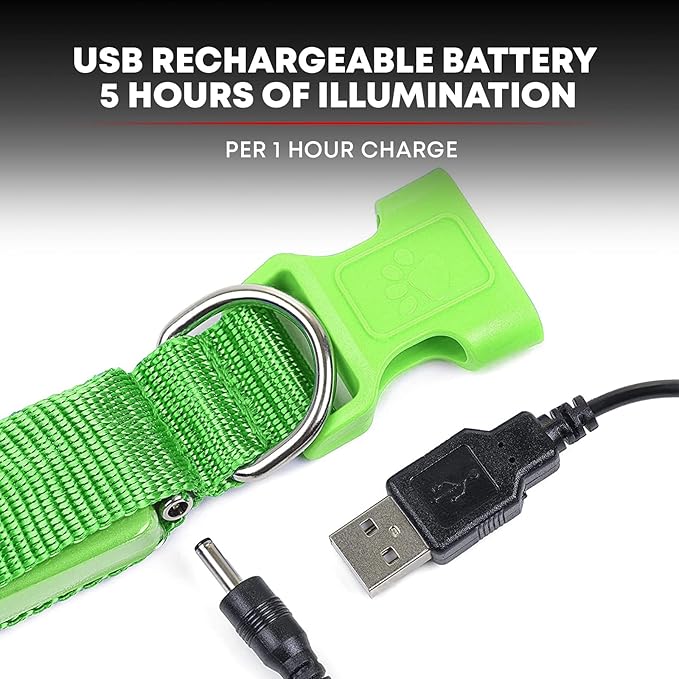 Illumiseen LED Dog Collar USB Rechargeable - Bright & High Visibility Lighted Glow Collar for Pet Night Walking - Weatherproof, in 6 Colors & 6 Sizes (Green Medium)