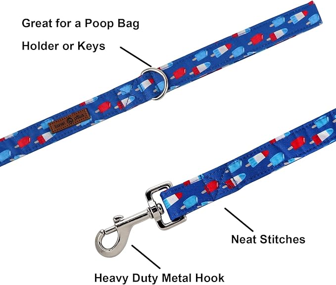 Lionet Paws Patriotic 4th of July American Flag Dog Leash Matching Dog Collar for Small Medium Large Dog