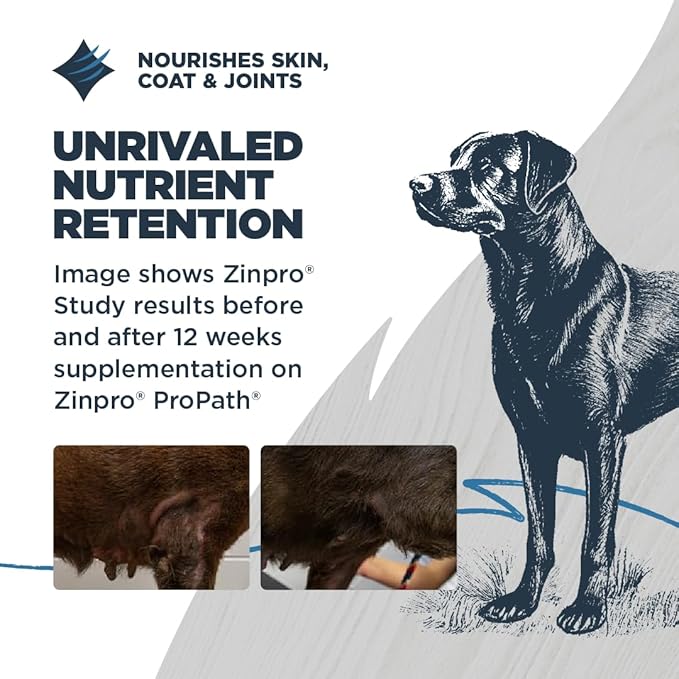 Blackwood Sensitive Skin & Stomach Dry Dog Food, Catfish Meal & Brown Rice with Ancient Grains, 24 Pound Bag with Prebiotics & Probiotics to Promote Gut Health