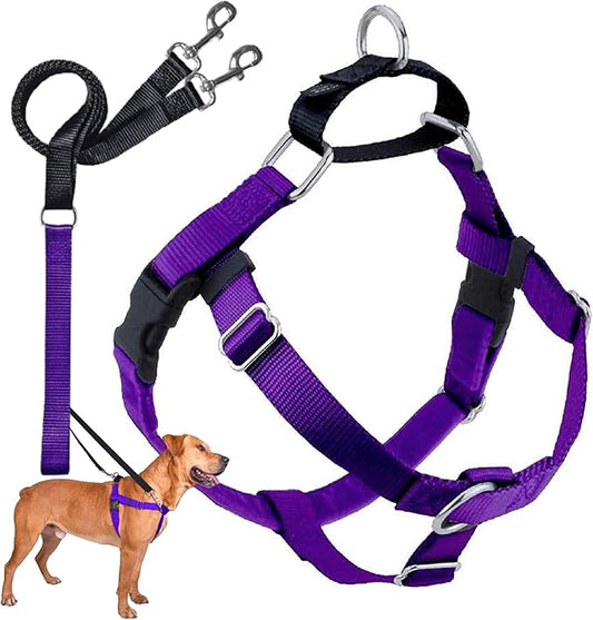 2 Hounds Design Freedom No Pull Dog Harness | Comfortable Control for Easy Walking |Adjustable Dog Harness and Leash Set | Small, Medium & Large Dogs | Made in USA | Solid Colors | 1" LG Purple