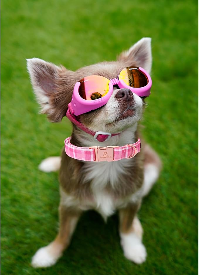 Lionheart glory Valentine's Day Collar, Pink Plaid Dog Collar for Large Cute Dog Collars Spring Female Pet Gift Adjustable Heavy-Duty Dog Collar Holiday