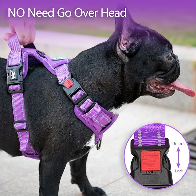 PoyPet No Pull Dog Harness, No Choke Reflective Dog Vest, Adjustable Pet Harnesses with Easy Control Padded Handle for Small Medium Large Dogs(Purple Matching Trim,XS)