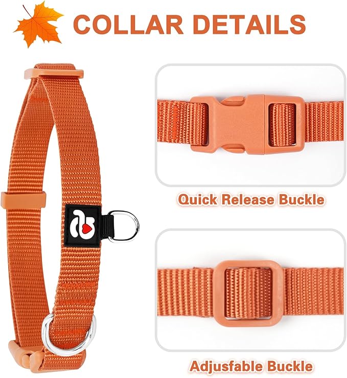 azuza 3 Pack Fall Dog Collars Comfortable and Adjustable Nylon Dog Collars for Large Dogs, L (18-26inch)， Ginger Yellow, Rust Orange and Latte Brown