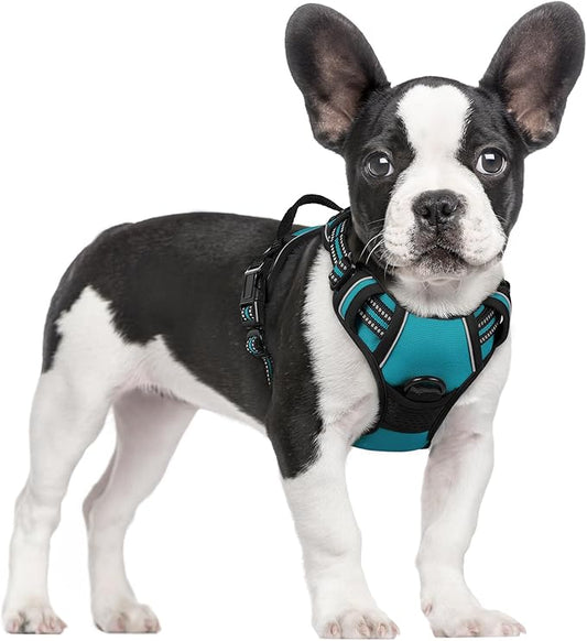 rabbitgoo Dog Harness, No-Pull Pet Harness with 2 Leash Clips, Adjustable Soft Padded Dog Vest, Reflective No-Choke Pet Oxford Vest with Easy Control Handle for Large Dogs, Teal, S