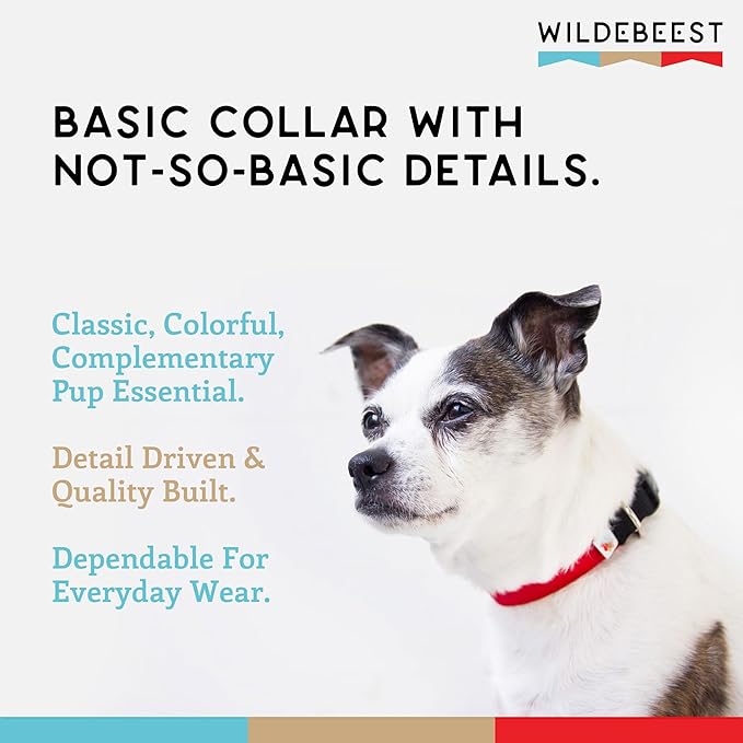 Dog Collar, Lightweight, Heavy Duty Dog Collar with Buckle, Fabric Pet Collar, Breathable & Adjustable Puppy Collar, Dog Collars for Small Dogs (Red, Small - 8-12 Inch) - Wildebeest