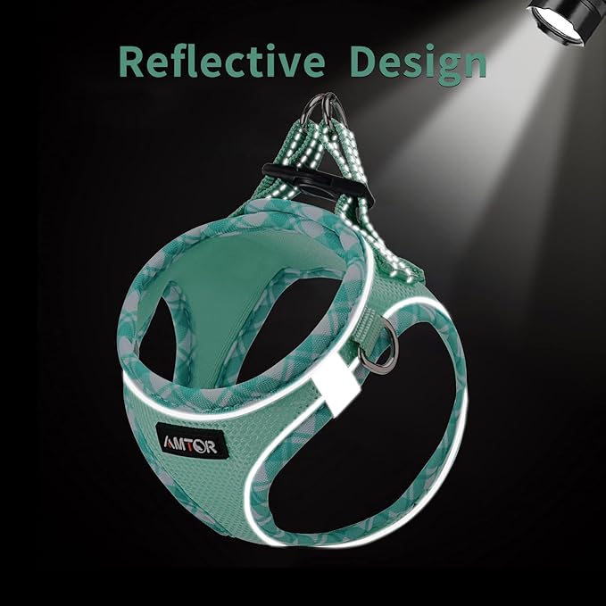 AMTOR Small Dog Harness with Leash Set, No Escape Easy Walk Puppy Harnesses for Training Walking, Step-in Reflective Soft Dogs Vest for XS S Medium Extra-Small Large Sized Dog(Green,XS)