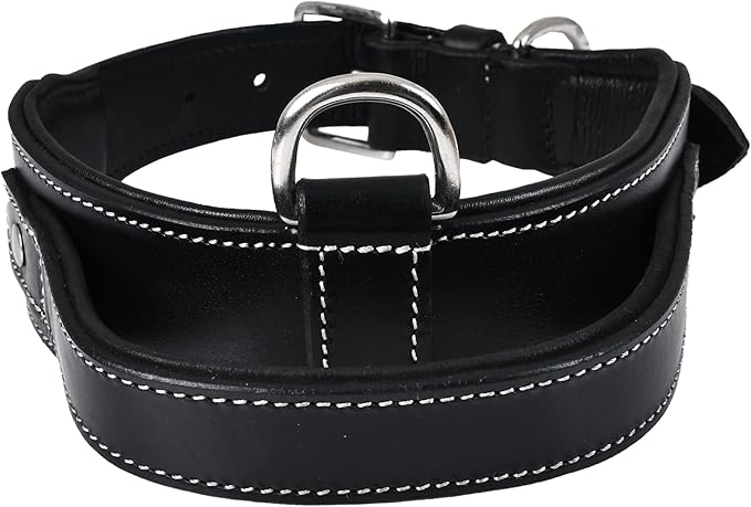 Leather Dog Collar with Handle, 2 Inch Wide Saddle Grade Black Leather Dog Collar for Extra Large Dogs | Heavy Duty, Comfortable, Inner Soft Padded | (XL (Fit Neck Size 22"-26"), Black)