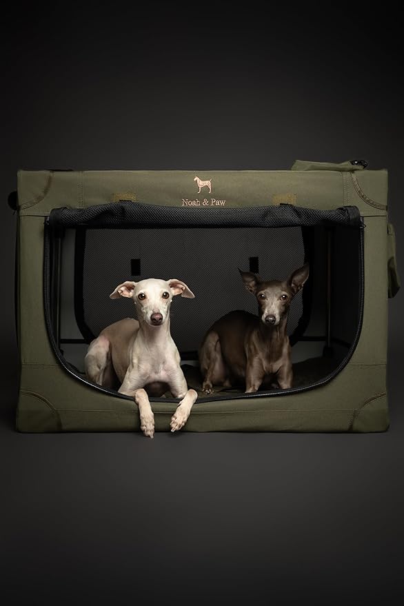 Noah & Paw Collapsible Dog Crate 30 Inches, Large Dog Crate for Large Medium Breeds, Travel Kennel for Car, Including Pet Mat for Pet Cage, 2 Storage Pockets, Handbag, 10mm Locking Zipper 30*21*21