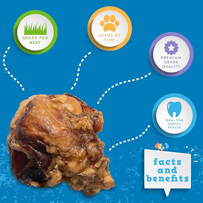 Jack&Pup Knee Bones Dog Treats - Roasted Dog Chew Bones - Single Ingredient All Natural Gourmet Long Lasting Dog Bone- Savory Smoked Beef Flavor (20 Pk)