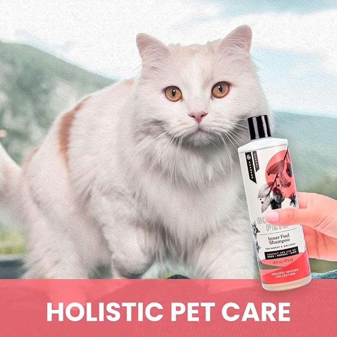 Holistic Natural Derived Goji Berry & Jujube Pet Shampoo: Veterinarian Recommended - Energy & Wellness for Your Dog, Cat and Horse Coat - Made in USA - 16 oz