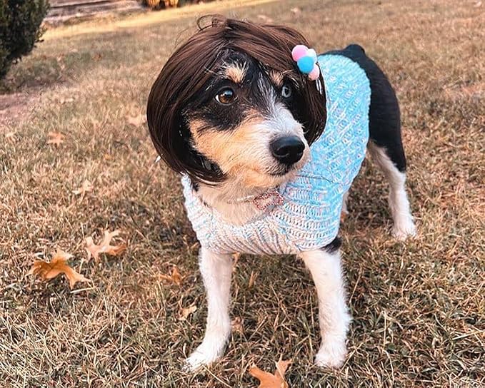 Funny Dog Wig for Small Medium Large Dogs with Free Head Flower, Trimmable Pet Costume Cat Cosplay Decoration for Halloween, Christmas, Parties