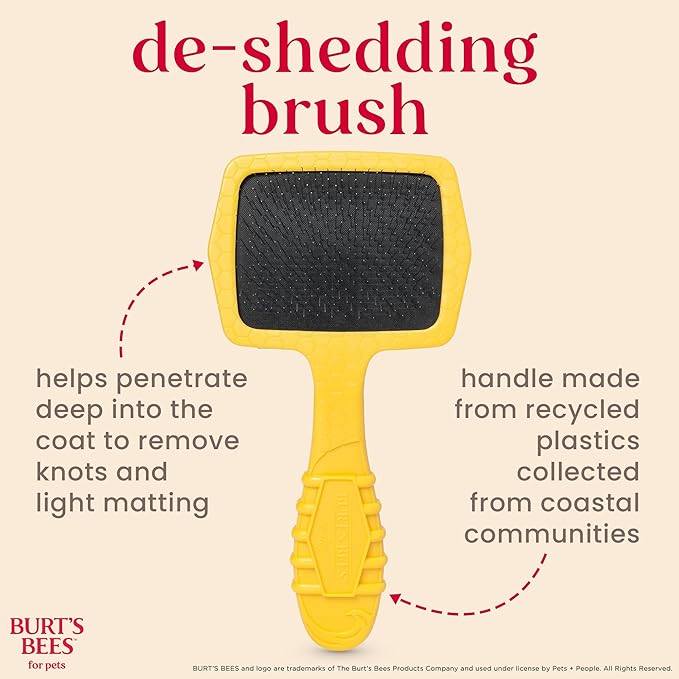Burt’s Bees for Pets Small Slicker Brush for Dogs with Thick or Curly Hair with Handle Made from Recycled Plastics Collected from Coastal Communities | De-Shedding Dog Brush Removes Knots and Matting