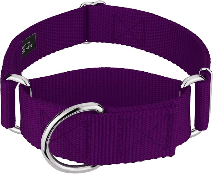 Country Brook Petz 1 1/2 Inch Martingale Heavy Duty Nylon Adjustable Dog Collar for Small, Medium, Large Breeds - Vibrant 17 Color Selection (Purple, Medium)