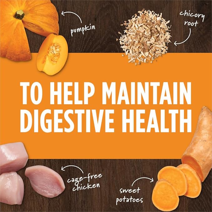 Instinct Raw Boost Mixers Freeze Dried Dog Food Toppers For Dry Food, Grain Free Dog Food Toppers with Chicken For Dogs - Gut Health, 23 oz