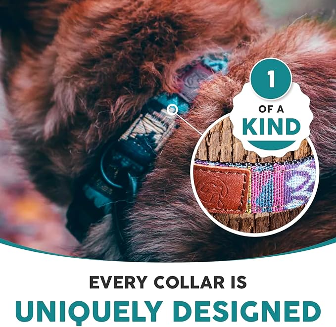 Embark Urban Dog Collar – Dog Collar Stylish & Durable Nylon Dog Collar for Large Dogs, Small Dogs & Medium Dogs.Comfortable Pet Collar Strong Buckles for Any Size Breed (Azure, Medium)