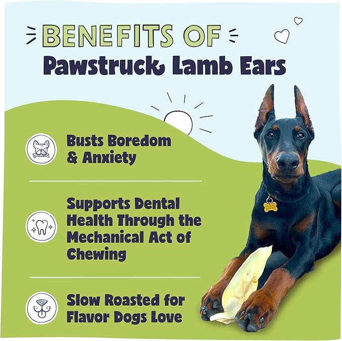 Pawstruck Natural Lamb Ears Chew Treats for Small & Medium Dogs - Healthy Low Fat, No Artificial Preservatives, Single Ingredient, Highly Digestible Animal Ear - 10 Count - Packaging May Vary