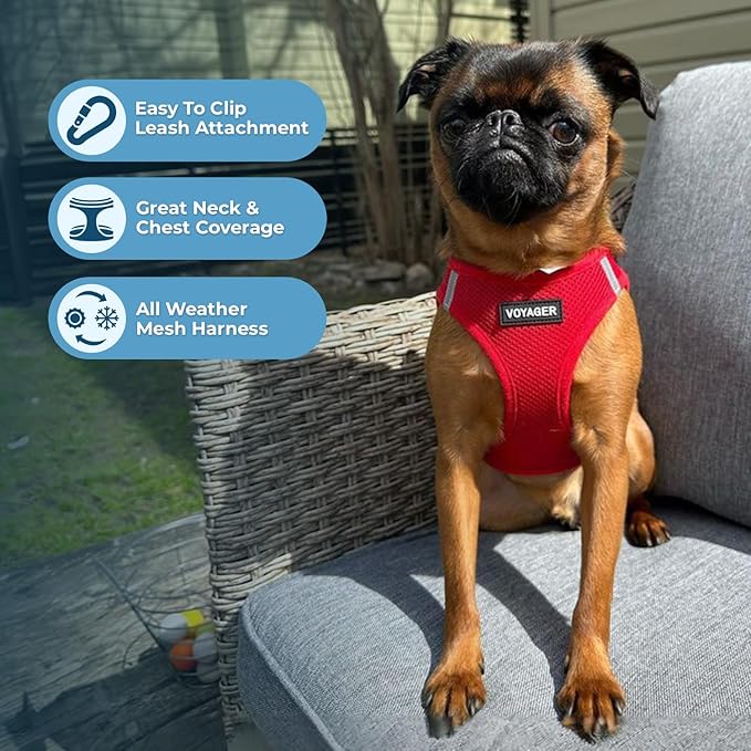 Voyager Step-In Air Dog Harness - All Weather Mesh, Reflective, No Pull Harness for Small, Medium Dogs, Cats - Secure with Hook & Loop Fastener, Buckle, Double D-Rings - Red, XXS