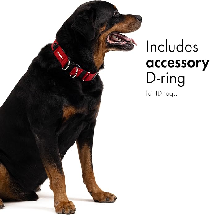 EzyDog Double Up Premium Nylon Dog Collar - Double D-Rings for Superior Strength, Safety, and Comfortability - Non-Rusting and Includes an ID Attachment (Small, Denim)