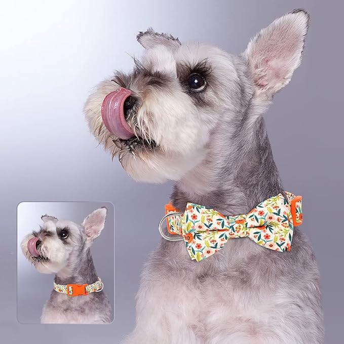 Didog Floral Dog Collar with Bow, Cute Girl Dog Collars with Detachable Bowtie, Soft & Comfy Spring Summer Dog Collar for Small Medium Large Dogs Gift Holiday, Orange, S