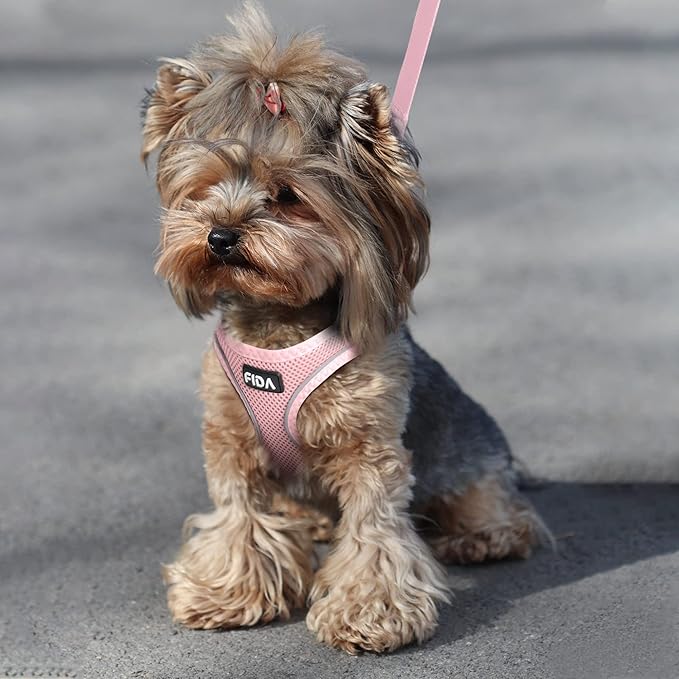 Fida Comfy Dog Harness with Leash, Soft Puppy Vest Escape Proof, Breathable Lightweight Soft Mesh, Adjustable Reflective Step-in Harness for Small Pet Walking (S, Pink)