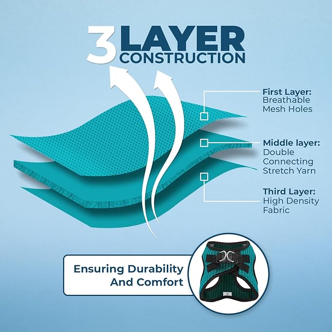 Voyager Step-in Air Dog Harness - All Weather Mesh, Reflective, No Pull Harness for Small, Medium Dogs, Cats - Secure with Hook & Loop Fastener, Buckle, Double D-Rings - Turquoise 2-Tone, M