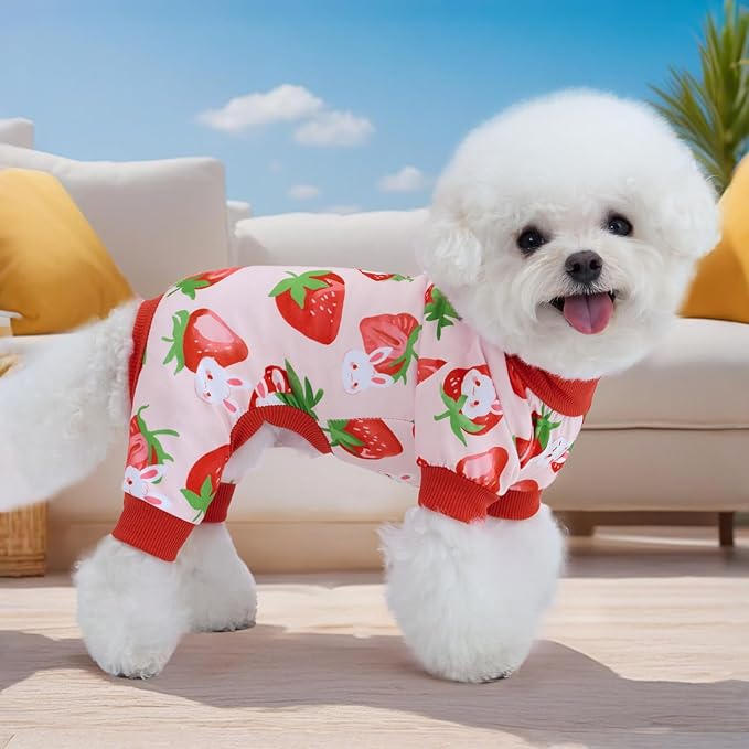 XPUDAC 4 Pieces Dog Pajamas Small Sized Dogs Boy Girl Strechy Soft Pjs Summer Pet Clothes for Dog Cat Puppy Onesies, M