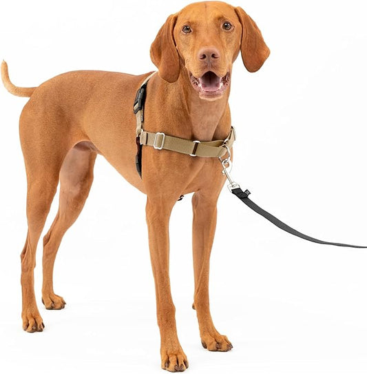 PetSafe Easy Walk No-Pull Dog Harness - The Ultimate Harness to Help Stop Pulling - Take Control & Teach Better Leash Manners - Helps Prevent Pets Pulling on Walks, Medium, Fawn/Brown
