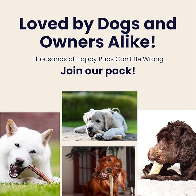 Large 3 Pack Whole Elk Antlers for Dogs [Long Lasting] - Elk Bones for Dogs Humanely Sourced - Elk Horns for Dogs - Dog Elk Antler Chews - Antlers for Large Dogs 60-85 Pounds