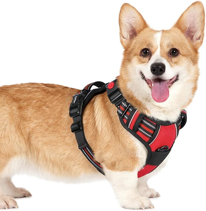 rabbitgoo Dog Harness Small Sized, No Pull Pet Harness with 3 Buckles, Adjustable Soft Padded Dog Vest with Instant Control Handle, Easy Walking Reflective Pet Vest for Small Dogs, Red, S