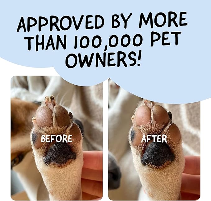 Belly Snout & Paw Cream for Dogs (1.7 oz) - 100% Natural Lick Safe Moisturizer, Soother & Protector for Cracked Paws, Snow & Salt - Fragrance Free - Elbows, Paws & Snout Soother for Dogs