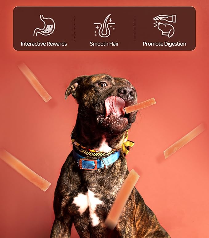 Chicken Slices, Real Chicken, 16OZ, Training Reward Snacks, Rawhide-Free, Dog Pet Food