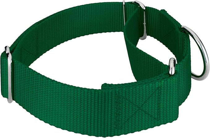 Country Brook Petz 1 1/2 Inch Martingale Heavy Duty Nylon Adjustable Dog Collar for Small, Medium, Large Breeds - Vibrant 17 Color Selection (Green, Large)