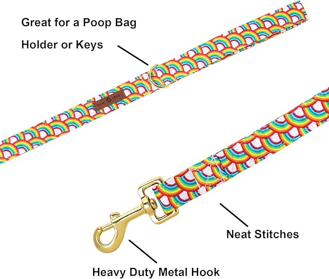 Lionet Paws Rainbow LGBT Pride Dog Leash Matching Dog Collar for Small Medium Large Dog