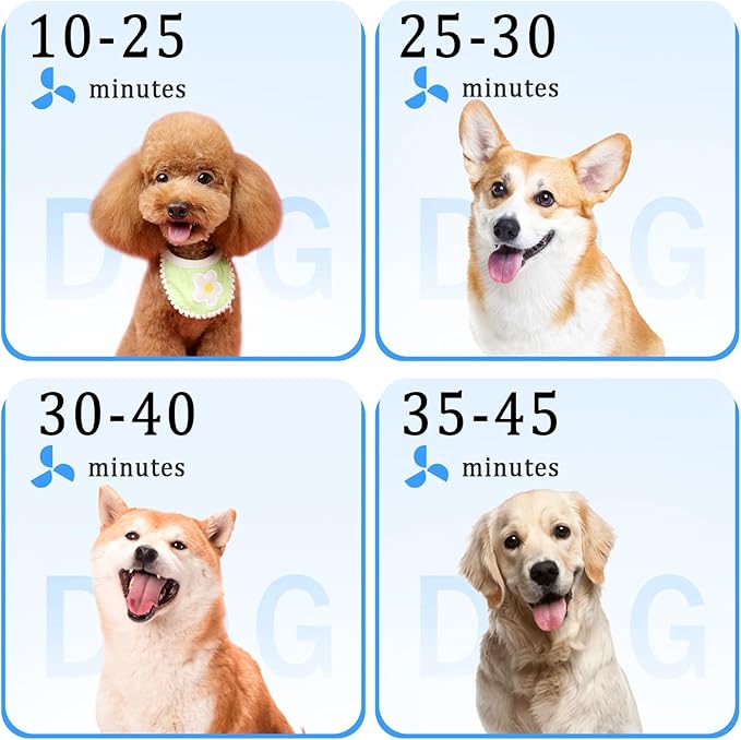 Large Dog Grooming Dryer - 5.2HP 3800W High Velocity Hair Dryer with Heater, Adjustable Temperature, and 4 Nozzles (Black)