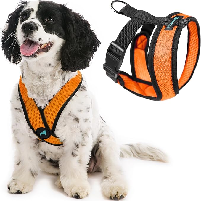 Gooby Orange X-Large Comfort X Head in Harness - No Pull, Choke-Free, Lightweight Mesh, Machine Washable for Small to Medium Dogs