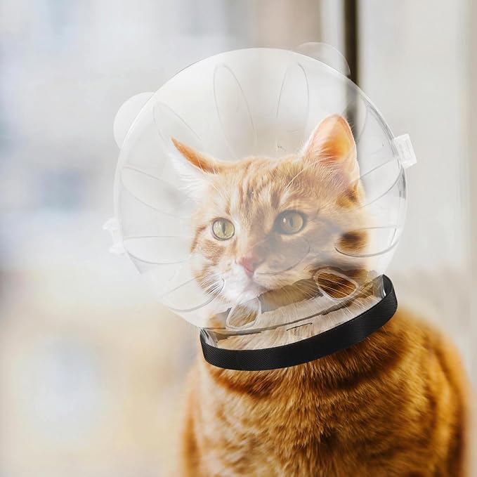 Breathable Cat Helmet - Transparent Protective Muzzle for Grooming, Nail Clipping & Preventing Biting, Adjustable Size for Kittens & Cats