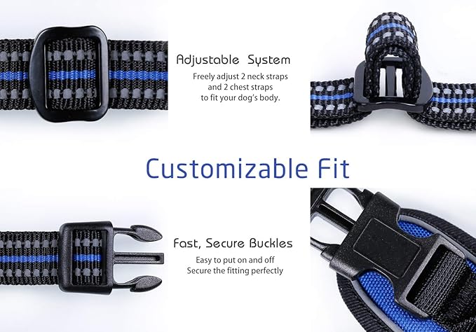 rabbitgoo Dog Harness, No-Pull Pet Harness with 2 Leash Clips, Adjustable Soft Padded Dog Vest, Reflective No-Choke Pet Oxford Vest with Easy Control Handle for Large Dogs, Dazzling Blue, L
