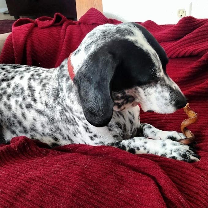 Pawstruck All-Natural 6" Bully Stick Springs for Dogs - Fun Challenging Rawhide Free 100% Beef Single Ingredient Chew Treat Bones - Fully Digestible Low Odor - 25 Pack - Packaging May Vary