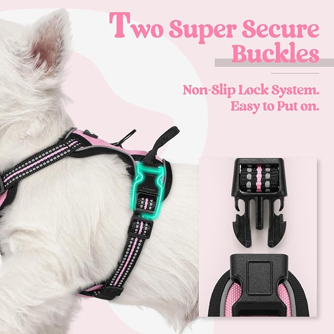 rabbitgoo Dog Harness, No-Pull Pet Harness with 2 Leash Clips, Adjustable Soft Padded Dog Vest, Reflective No-Choke Pet Oxford Vest with Easy Control Handle for Small Dogs, Pink, XS